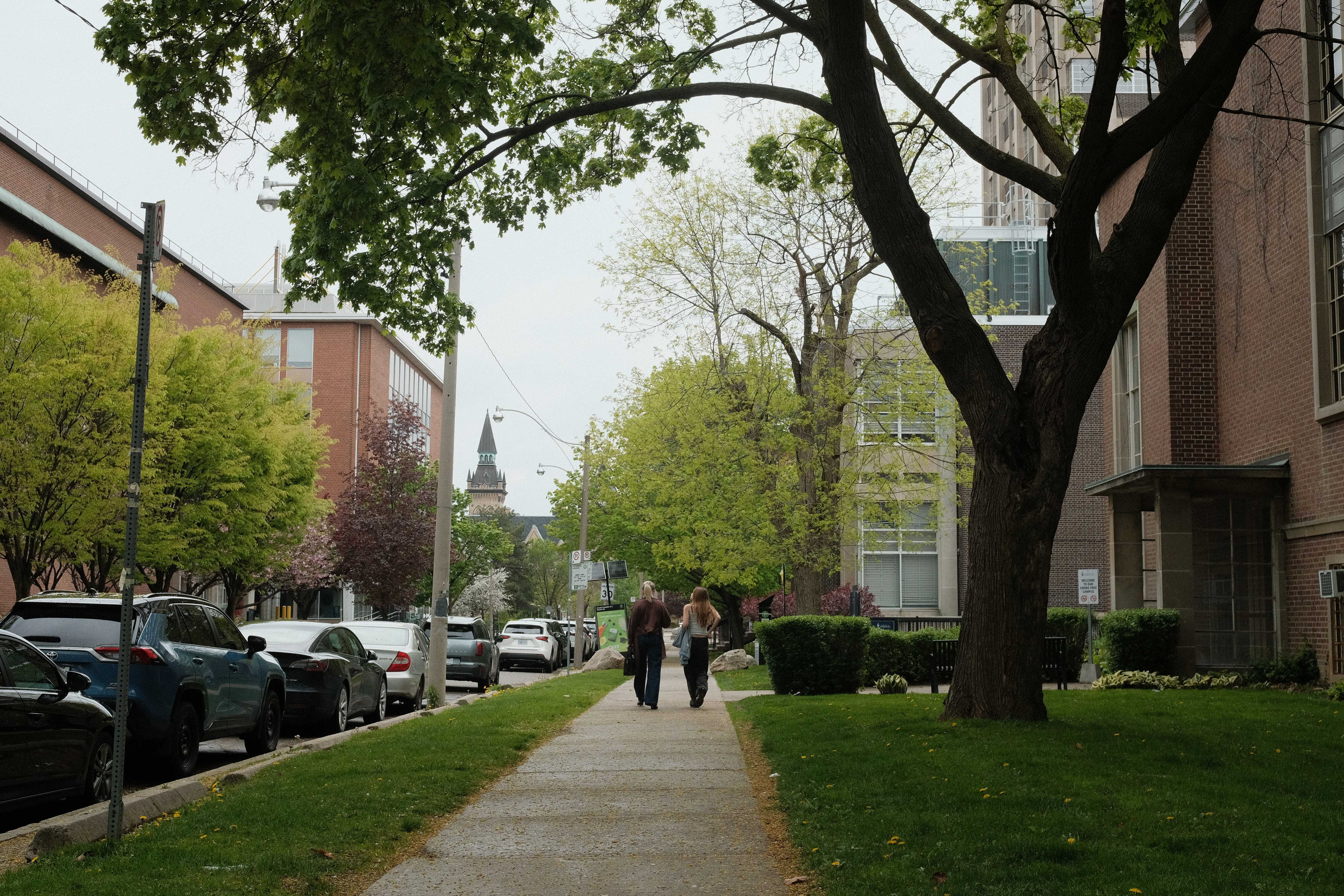 Annex