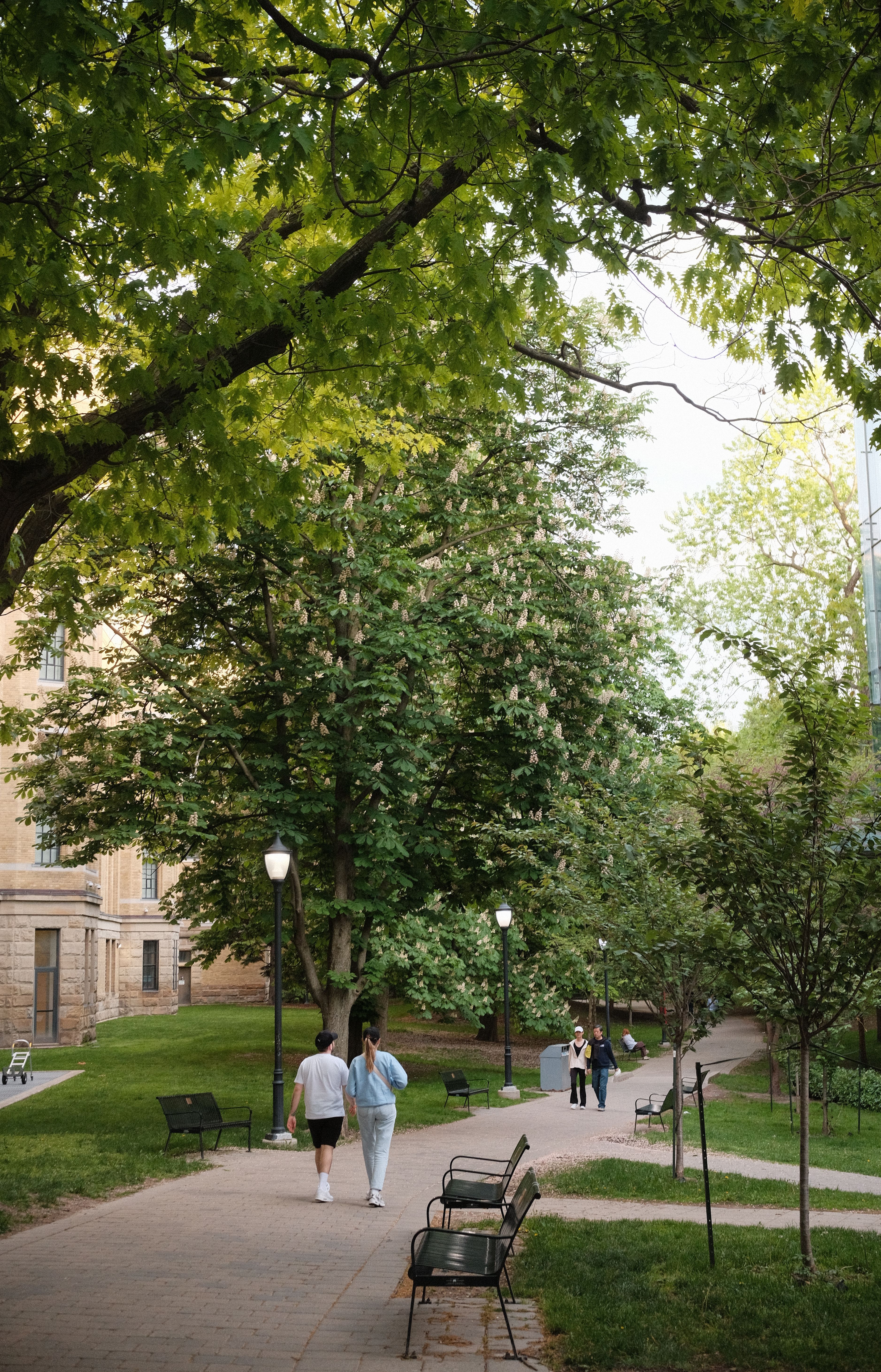 University of Toronto
